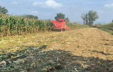 代表履职在一线 绘就秋收好“丰”景