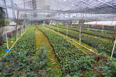 �����Ͳ��� ���������� ������ɫ���̽��ҵ��������������ͼ��